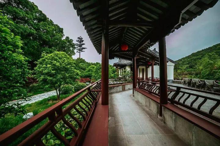 冷知识分享平台-我能为你做什么?独家揭秘!